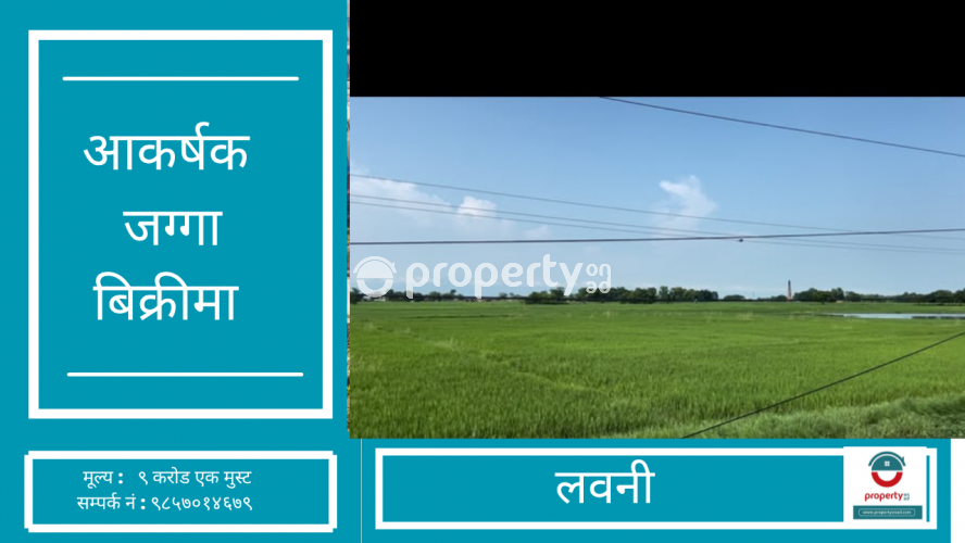Labani , Land on sale