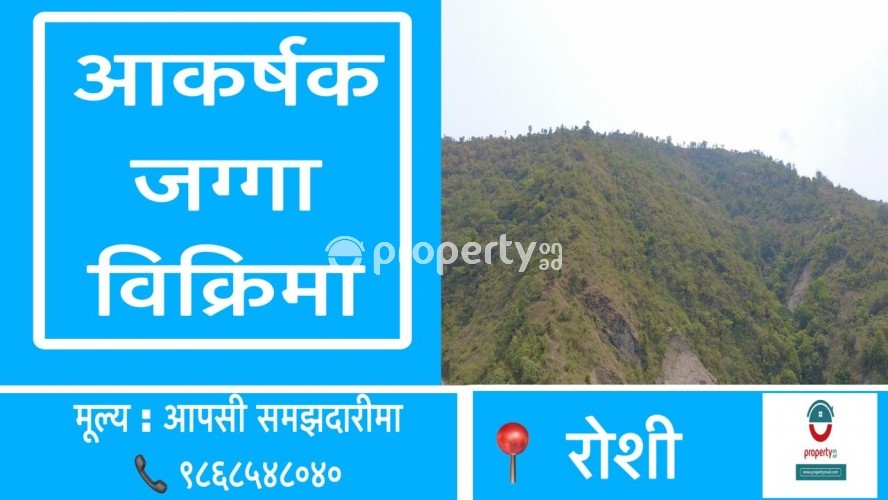 Land on sale at Roshi