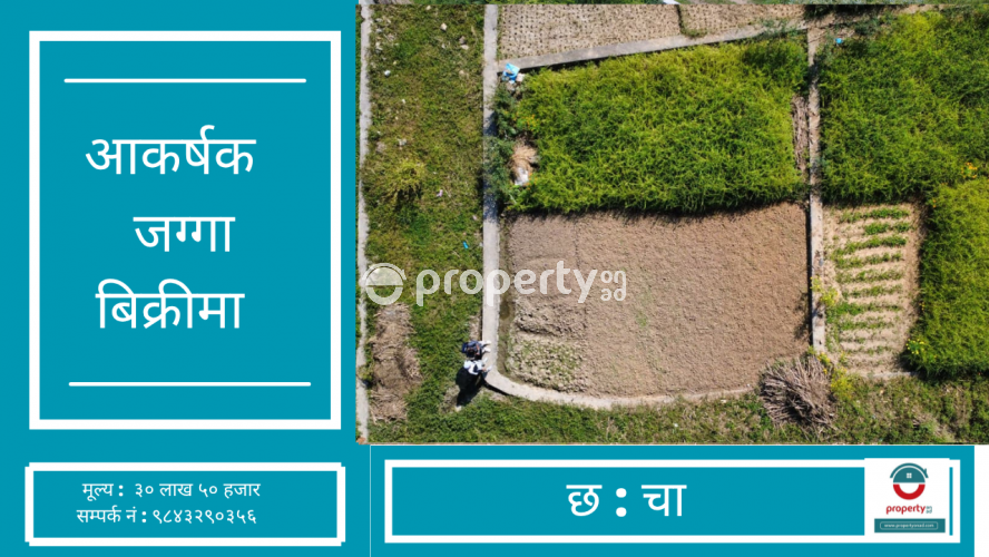 Chha : chaa , Land on sale