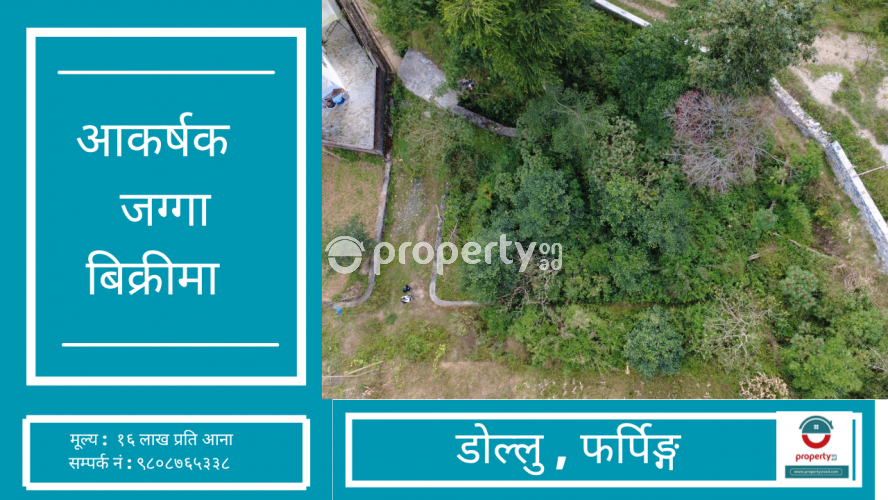 Dollu , pharping , Land on sale