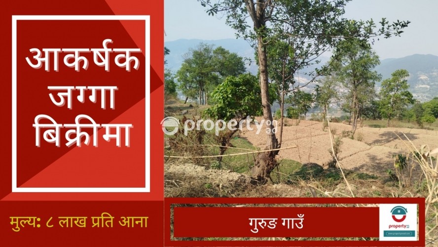 GurungGaun, land on sale