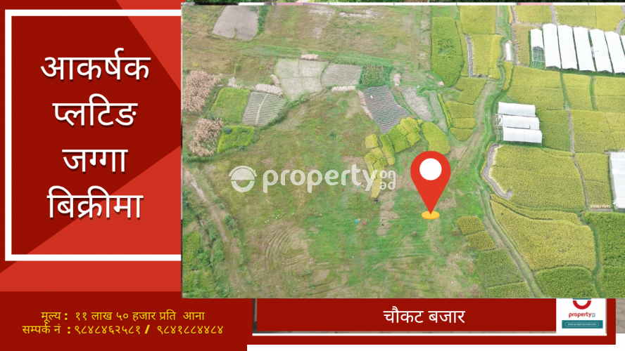 Chaukat Bazar , plotting land on sale